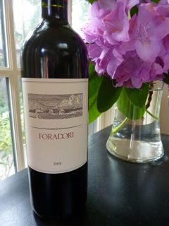 top 10 wine teroldego rotaliano