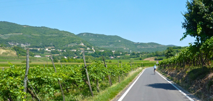 cycling-vineyards-private-tours-italy