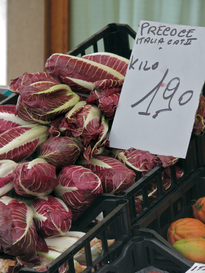 radicchio precoce regional foods italy tours