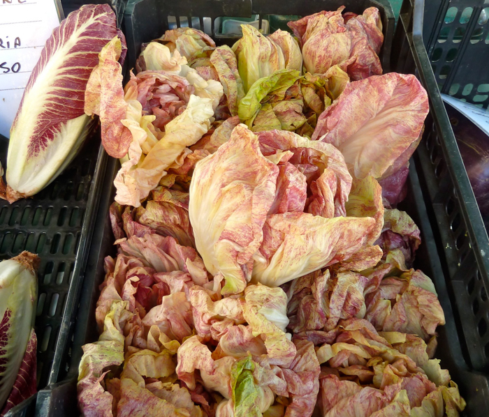 radicchio castelfranco culinary tours italy bike walk