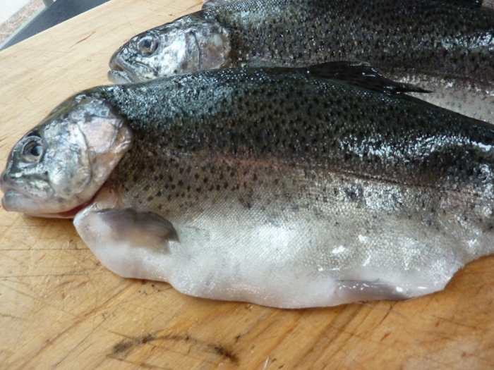 trout italy regional food tours