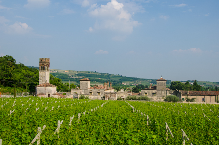 bike wine tours italy