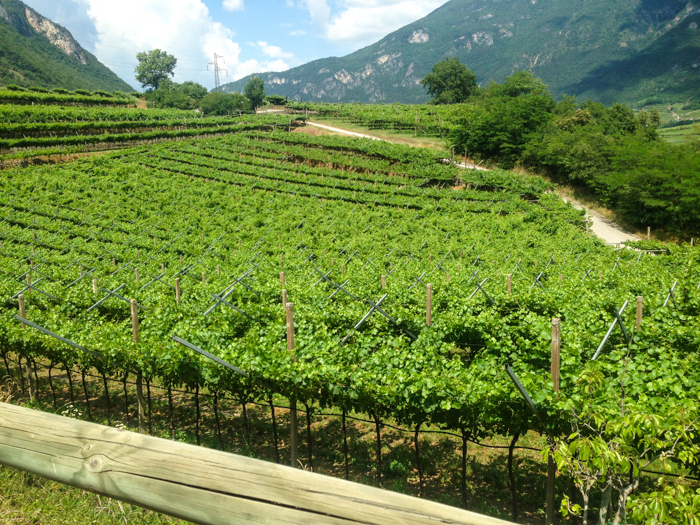 bike tour path sudtirol