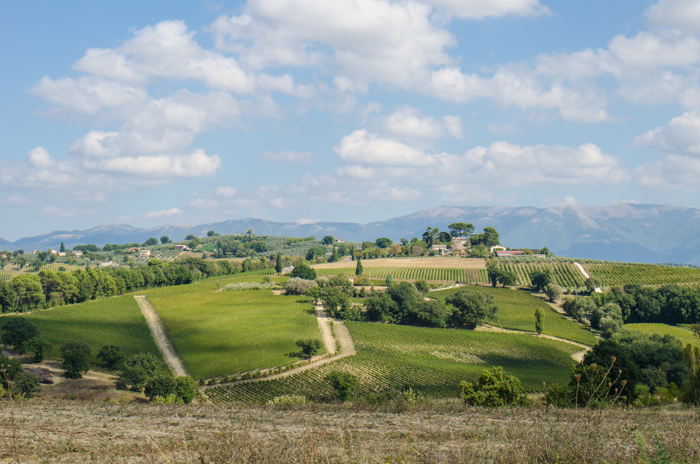 umbria bike tours