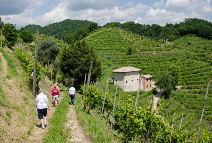 walking tours italy amarone prosecco