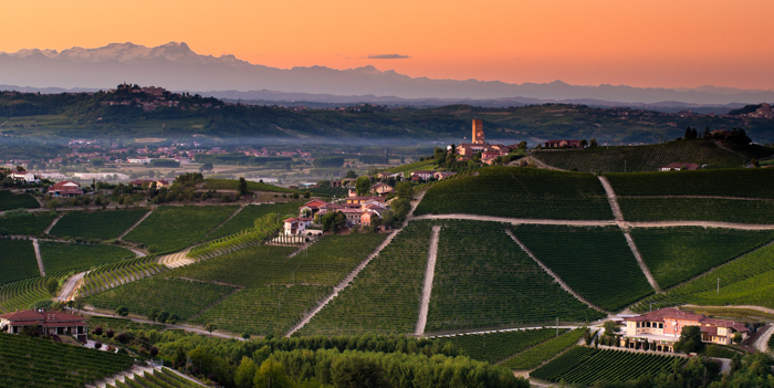 barbaresco-view-piedmont-walking-tours