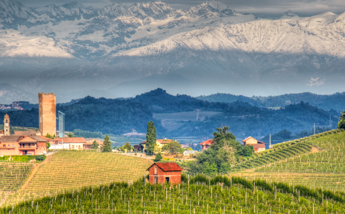 vineyard-landscape-piedmonte-walking-tours-italy