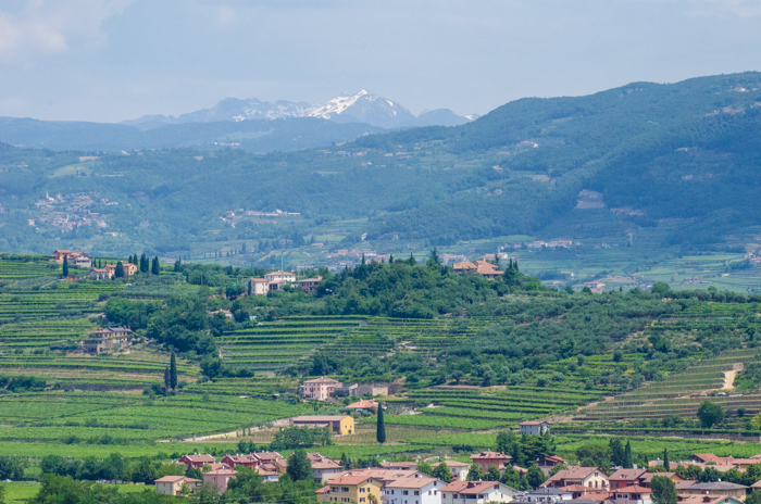 valpolicella vineyards italy tour