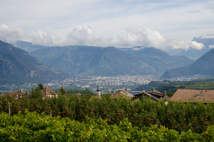 sudtirol view private italy tours bike hike ski walk