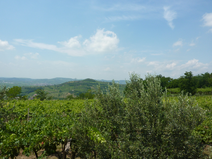 Gamballara wine road, Veneto, Italy