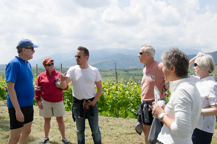vineyard visit custom cycling tours italy