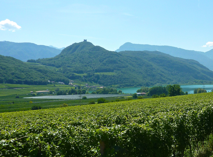 lago di caldaro wine cycling tours italy