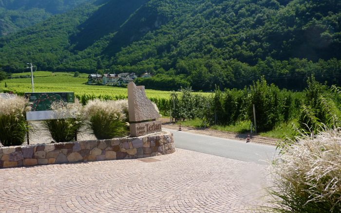 Cantina Terlaner winery private cycling tours italy