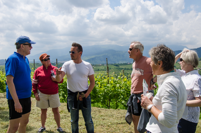 wine tasting prosecco private bike tours