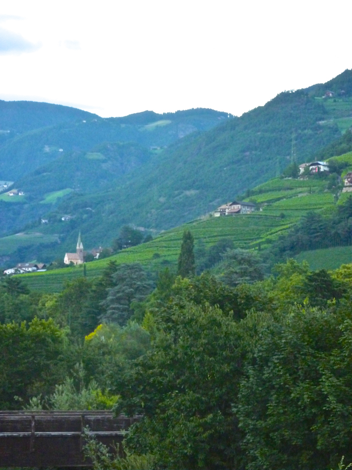 vineyards bolzano wine custom walking tours italy