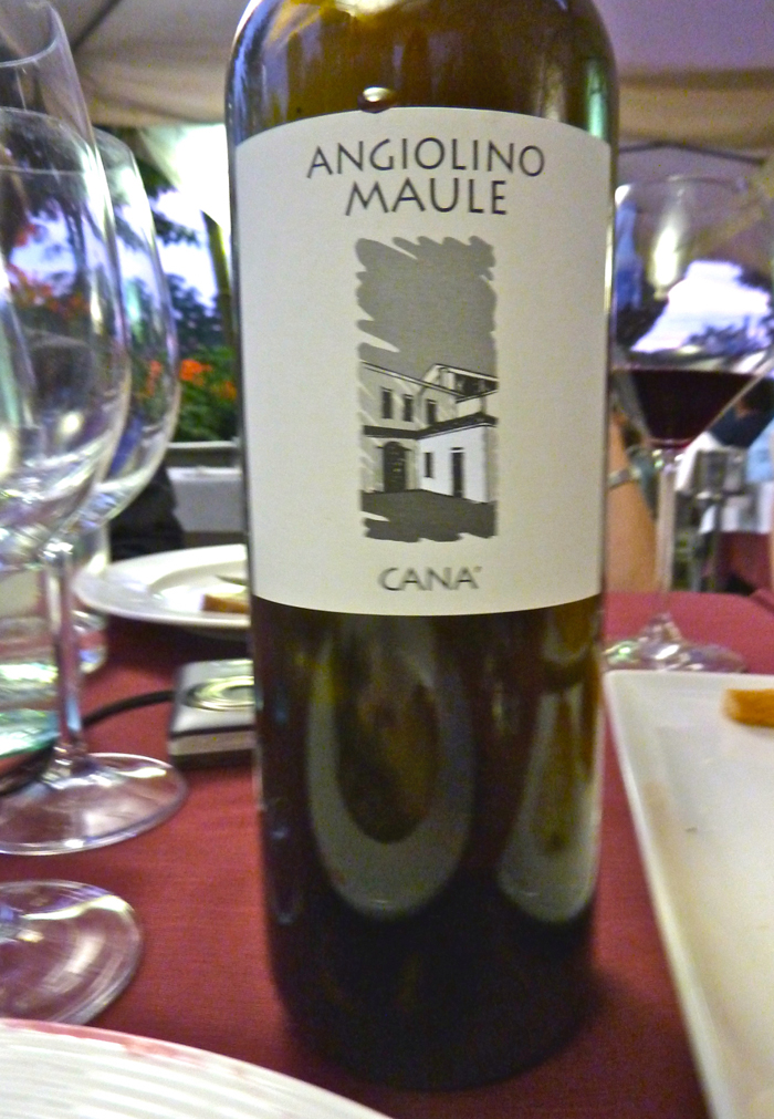 cana maule wine private italy tours