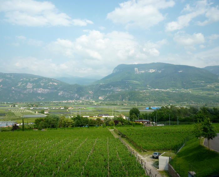cycling sudtirol wine road tour
