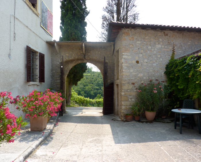 valpolicella winery bike tours italy