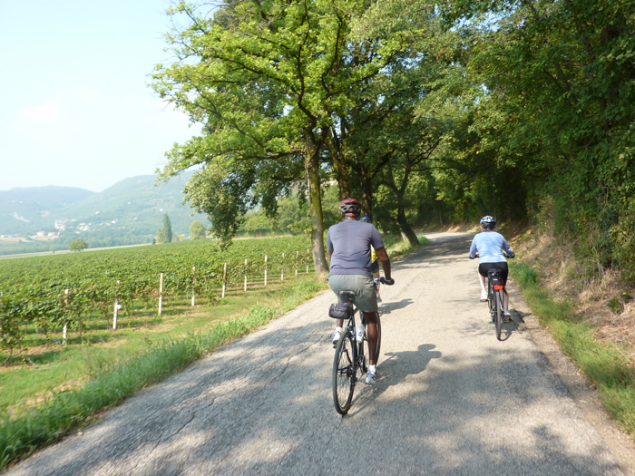 cycling berici hills custom tours italy