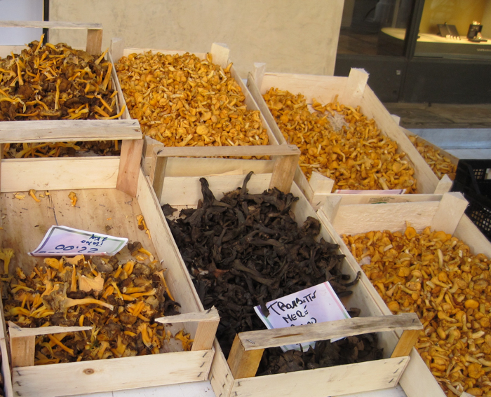 mushrooms market visit cycling tours italy