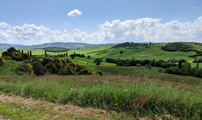 Tours in Tuscany