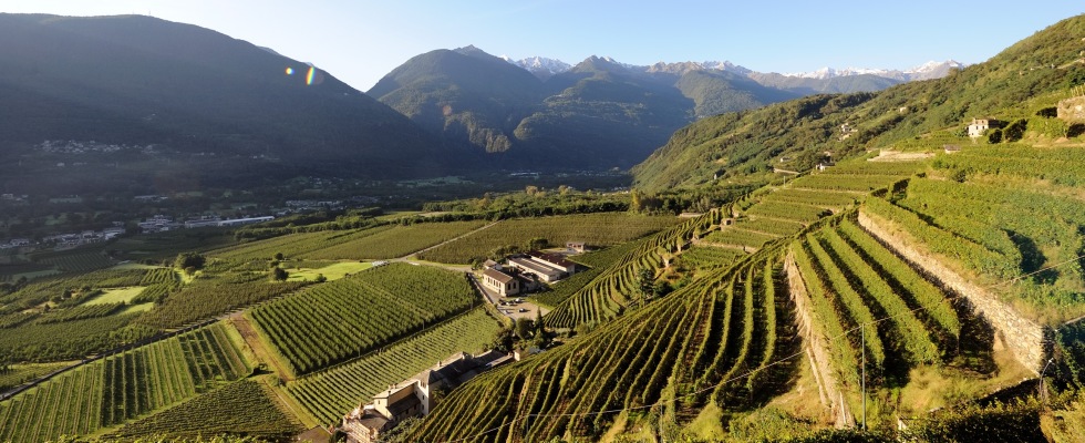 valtellina-vineyards-custom-italy-tours