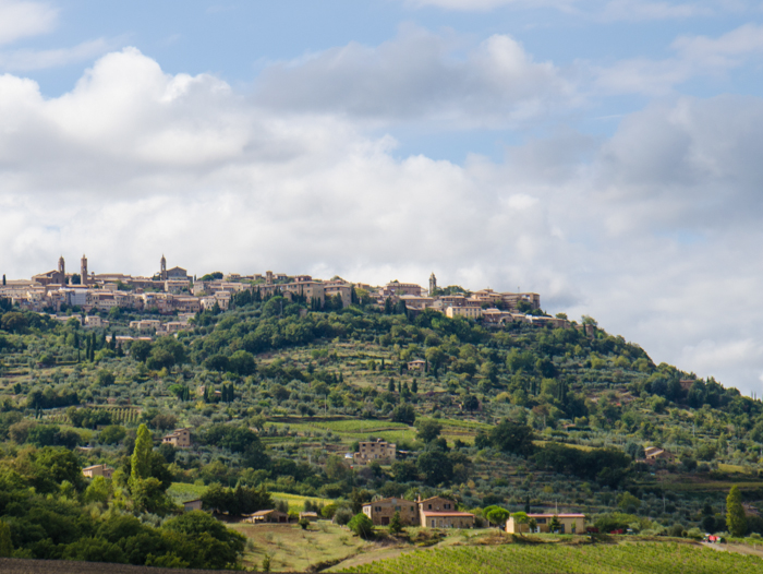 montalcino vineyards bike wine tours tuscany