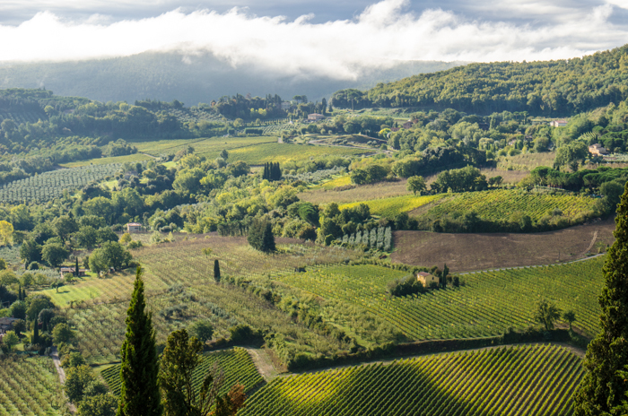 tuscany vineyards private tours bike walk