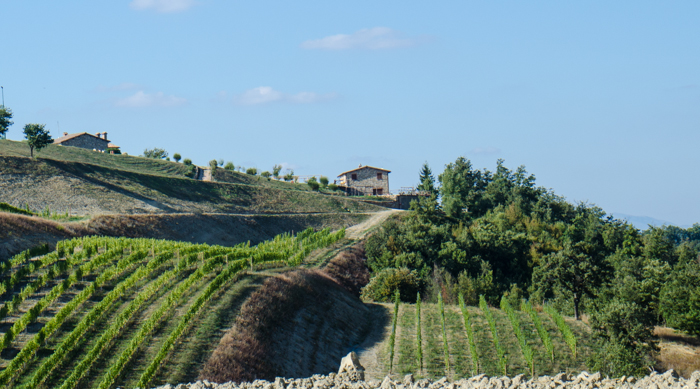 umbria vineyards custom tours cycling walking