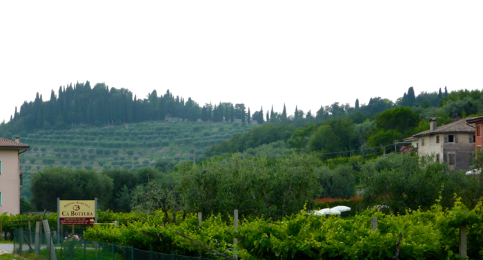 bardolino vineyards cycling tours italy