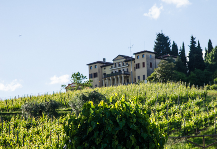 wine college conegliano wine tours italy