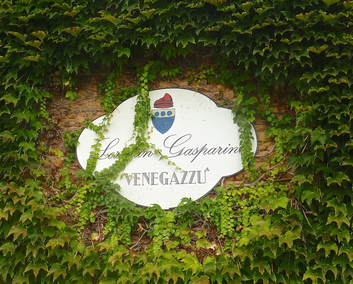 gasparini winery custom tours italy