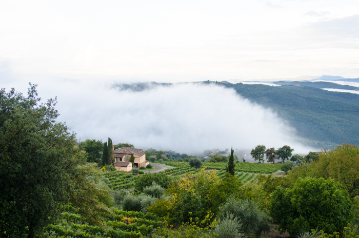 montalcino tuscany private tours italy bike walk